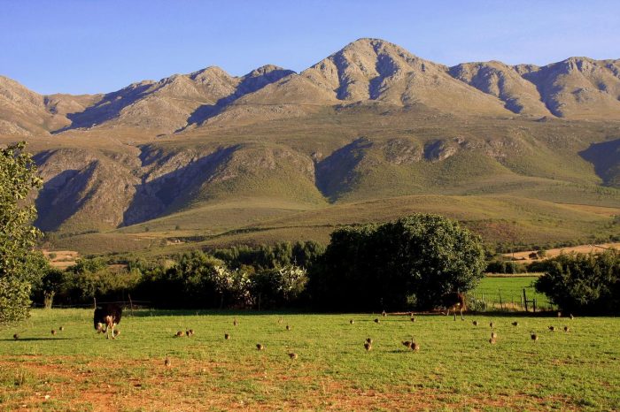Cedarberg Travel | Swartberg Country Manor