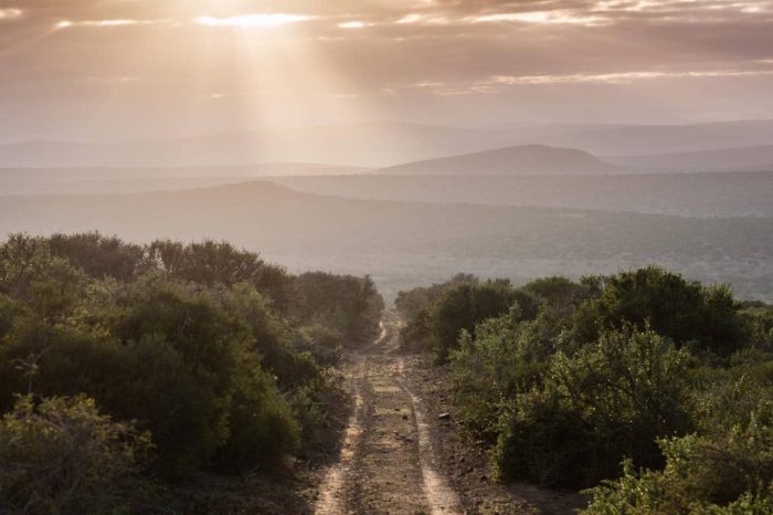 Cedarberg Travel | Kwandwe Ecca Lodge