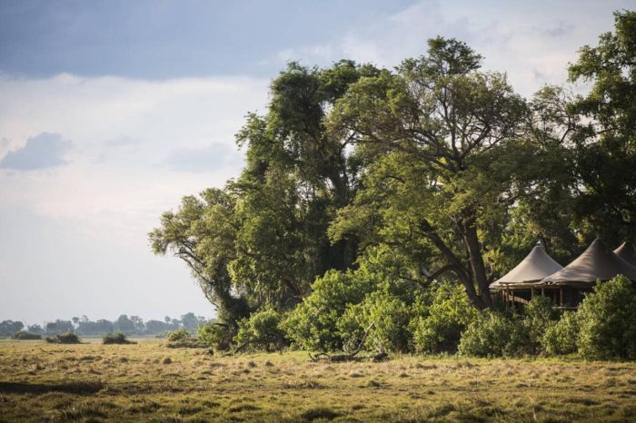 Cedarberg Travel | Little Mombo