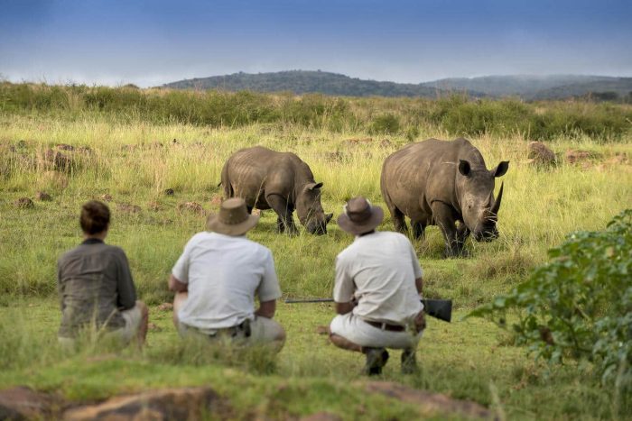 Cedarberg Travel | Mhondoro Safari Lodge & Villa