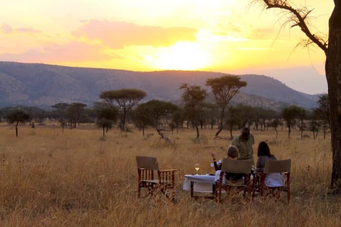 Cedarberg Travel | Nimali Central Serengeti