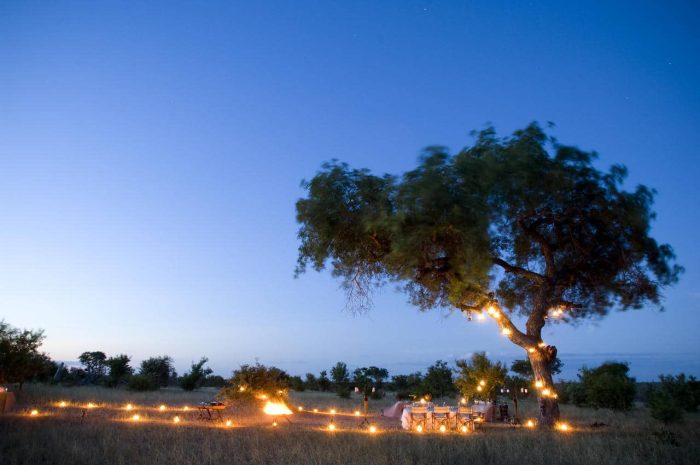 Cedarberg Travel | andBeyond Ngala Safari Lodge