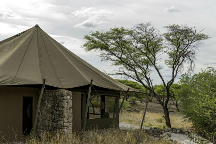 Cedarberg Travel | Onguma Tented Camp