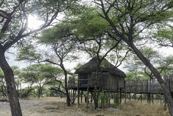 Cedarberg Travel | Onguma Tree Top Camp