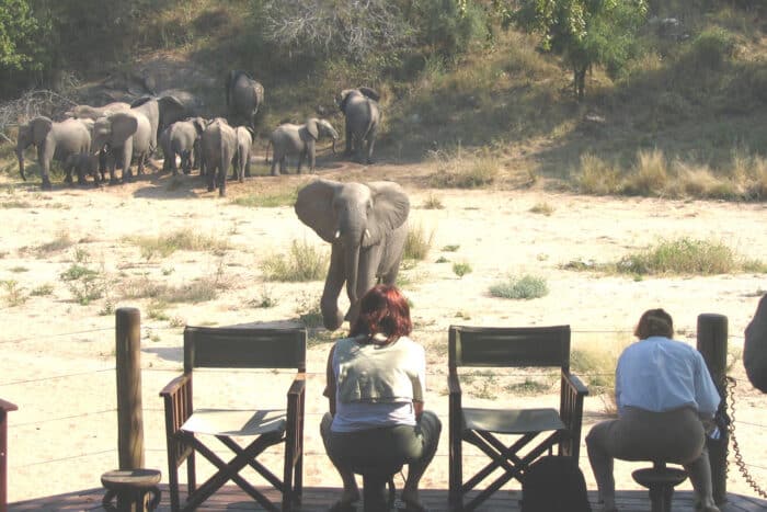 Cedarberg Travel | Rhino Post Safari Lodge