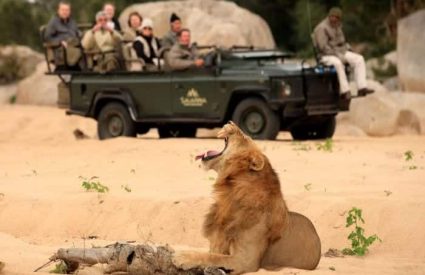 30 Years of Safari Excellence: A Conversation with Cedarberg Africa’s Co-founder Kate