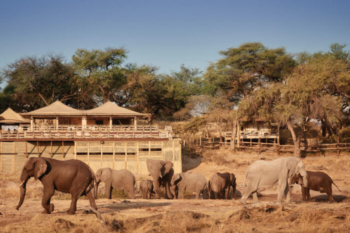 Cedarberg Travel | Belmond Savute Elephant Lodge