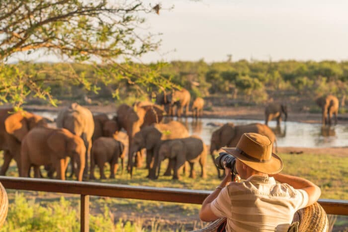Cedarberg Travel | Jamala Madikwe Royal Safari Lodge