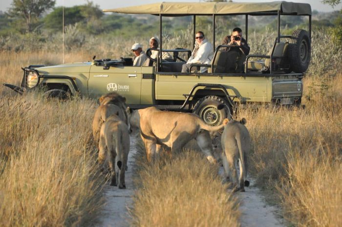 Cedarberg Travel | Kwando Tau Pan Camp