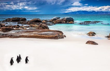 Where to go in Africa in May, June and July