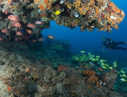 South Africa diving spots - Coastal Maputaland