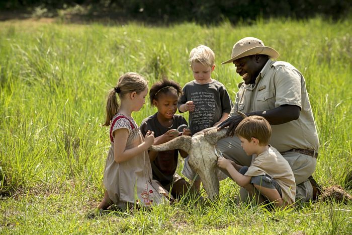 Family safari holidays for younger kids