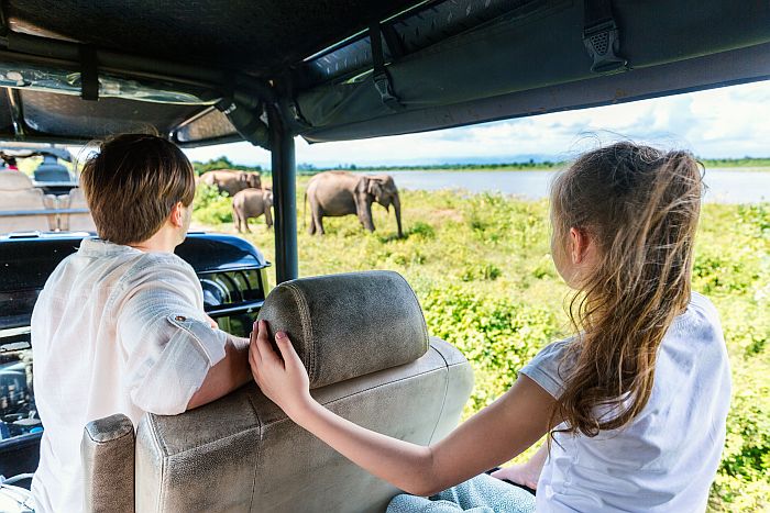 Kenya Family safaris - on safari