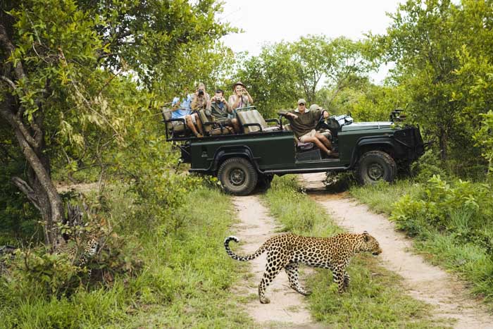 Kruger Park private lodges 