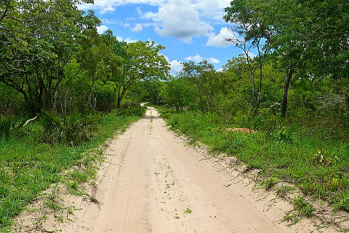 self drive safari mozambique