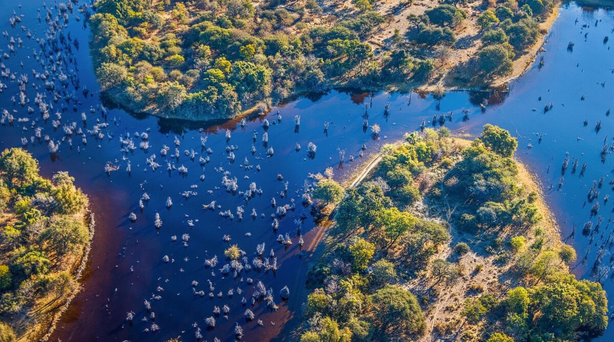 Okavango Delta Safari - aerial view