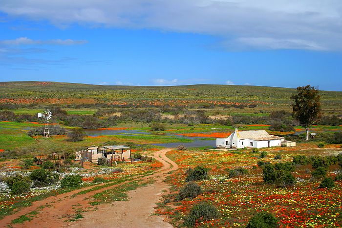 South Africa self-drive