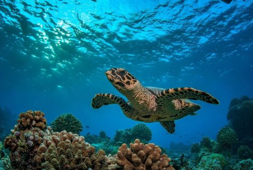 Where to go in Africa in May, June and July