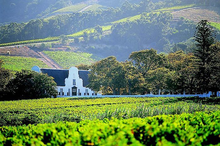 South Africa self-drive -Winelands