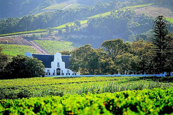 cape winelands wine tours - Boschendal