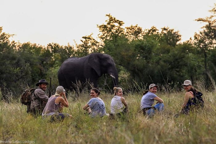 Walking safaris in Africa