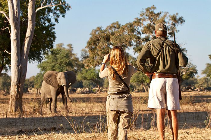 Zimbabwe walking safaris - Mana Pools