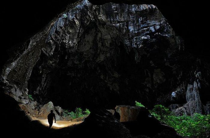 Cedarberg Travel | Andasibe, Northern Madagascar & Nosy Be Tour