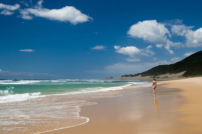 Cedarberg-Africa-Coastal-Maputaland-Rocktail-Beach