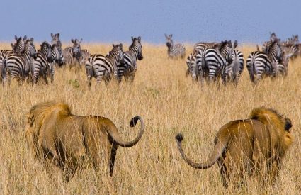 Where to go in Africa in May, June and July