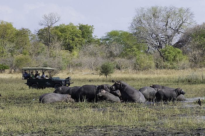 Cedarberg-Africa-Liwonde-Park-Malawi-Mvuu-Game-Drive