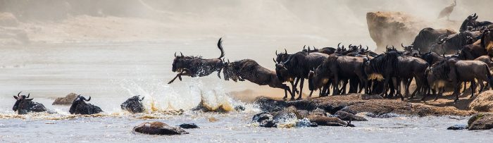Cedarberg Travel | Elewana Sky Safari East Africa