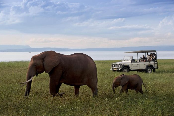 Cedarberg Travel | Bumi Hills Safari Lodge