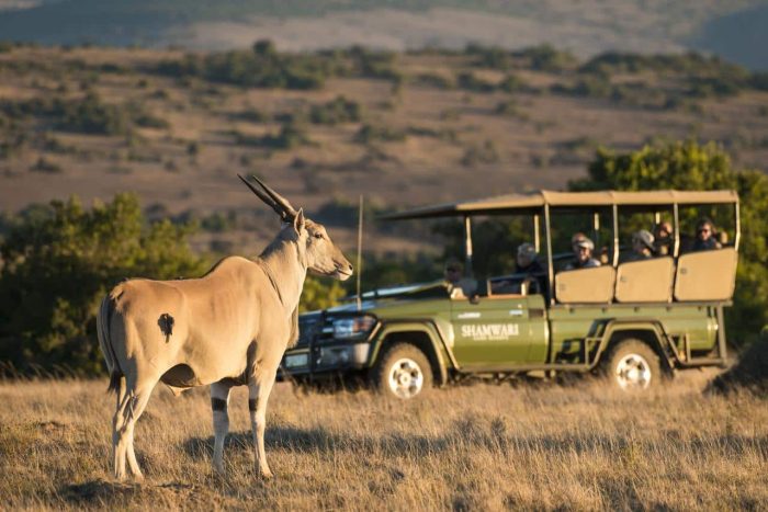 Cedarberg Travel | Eagles Crag at Shamwari Private Game Reserve