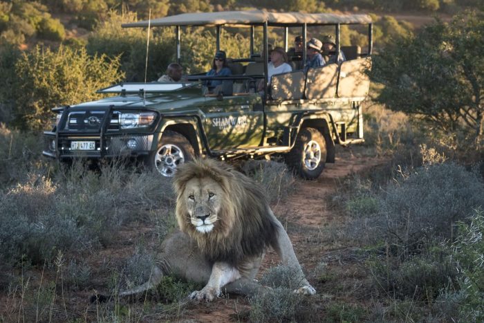 Cedarberg Travel | Eagles Crag at Shamwari Private Game Reserve