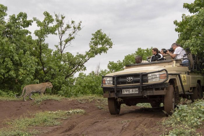 Cedarberg Travel | Mashatu Tented Camp