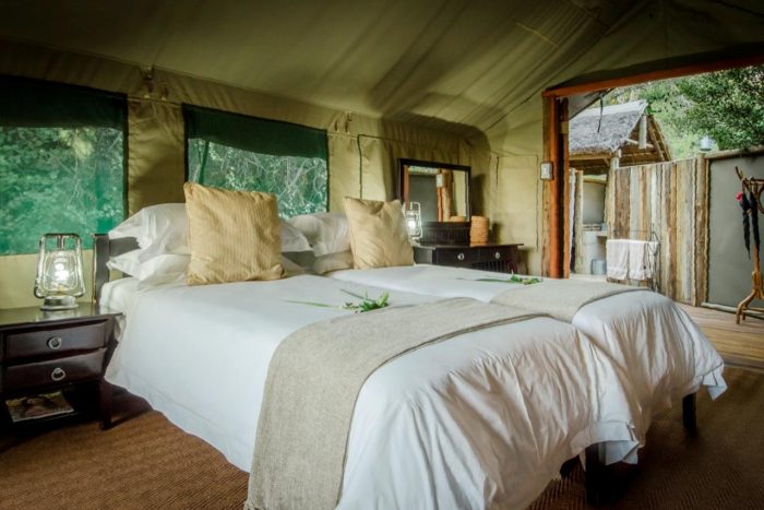 Cedarberg Travel | Mashatu Tented Camp