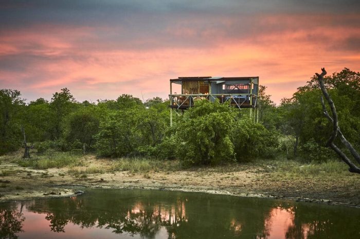 Cedarberg Travel | Motswari Game Lodge incl Geigers