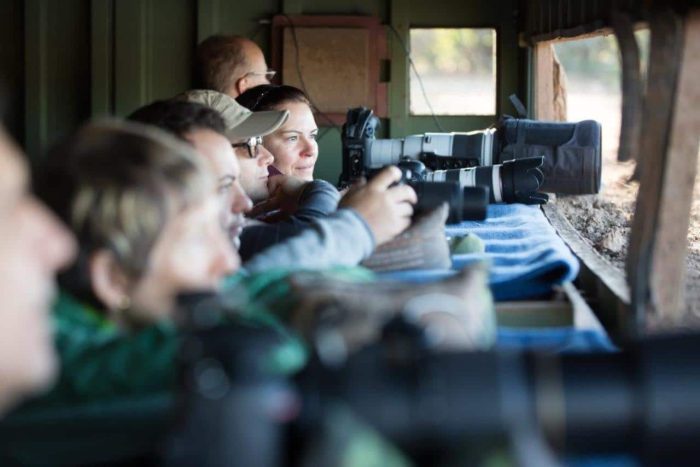 Cedarberg Travel | Mashatu Tented Camp