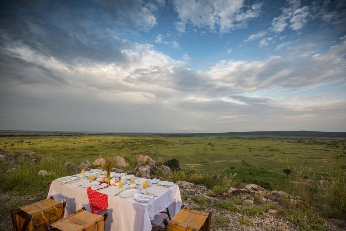 Cedarberg Travel | Tarangire Treetops