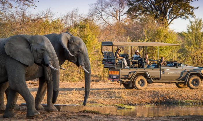 Cedarberg Travel | Stanley & Livingstone Private Game Reserve