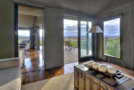 Amakhala HillsNek Safari Camp