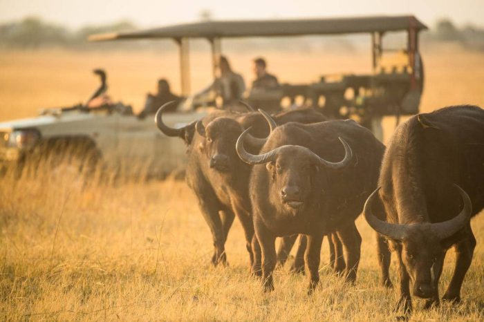 Cedarberg Travel | Camp Xugana