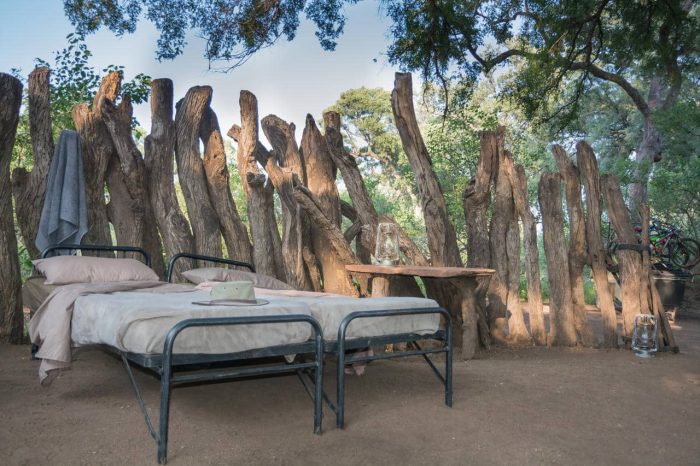 Cedarberg Travel | Mashatu Main Camp