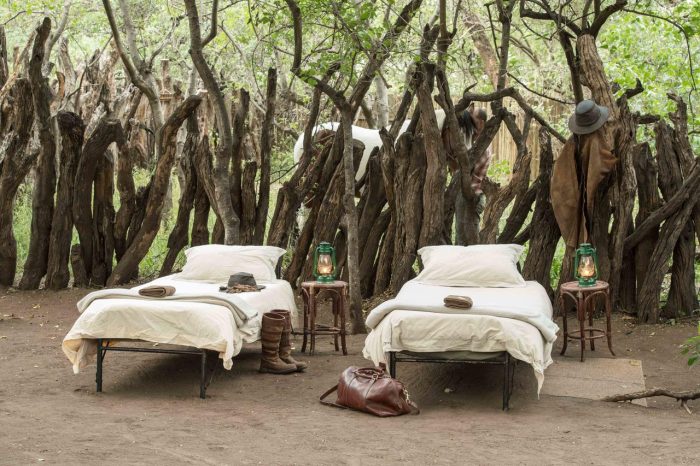 Cedarberg Travel | Mashatu Main Camp