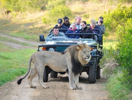 8 Tips to get the Most from your Game Drive