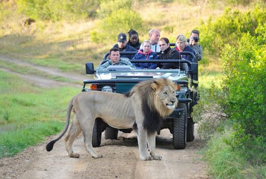 When is the best time for safari in Southern Africa?