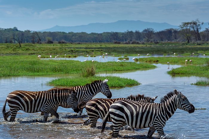 Cedarberg Travel | Zambia Family safari
