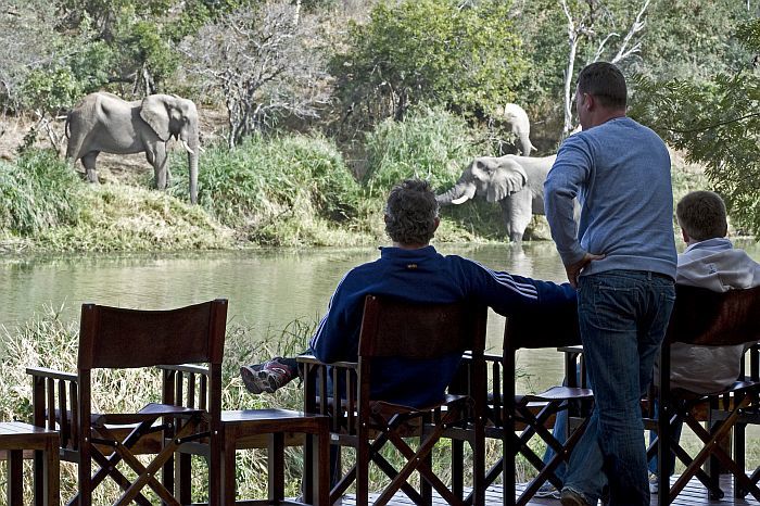 Safaris in Timbavati - elephants at Simbavati