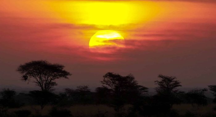 Cedarberg Travel | Kenya's Ancient North Walking Safari