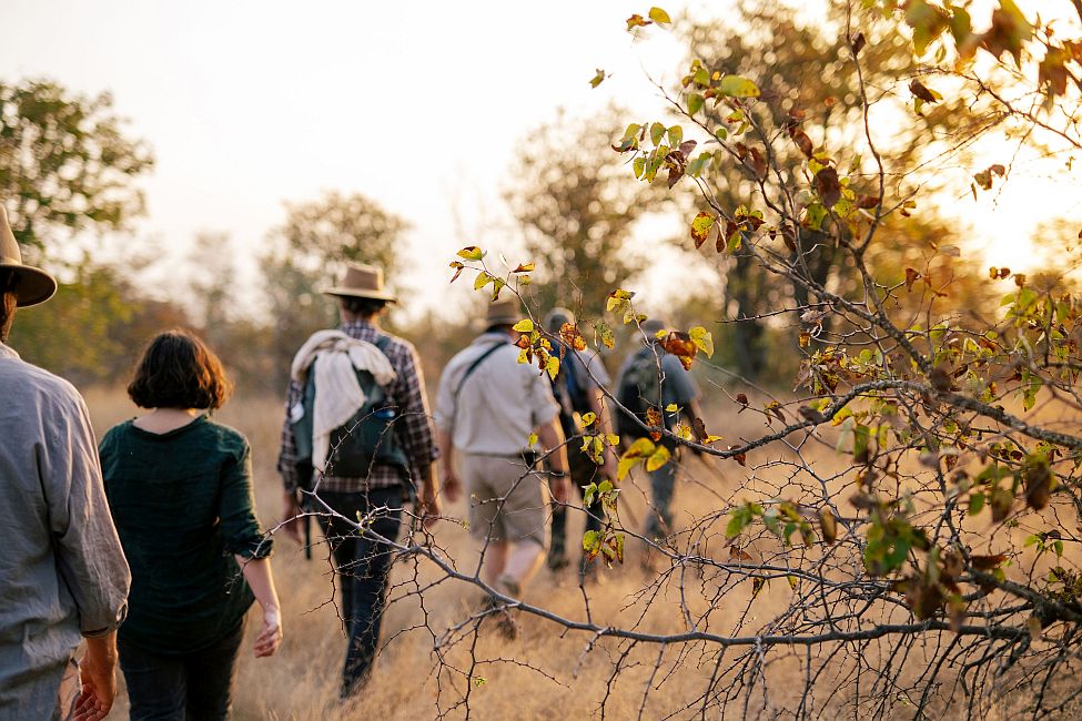 Simbavati Trails Camp walking safari